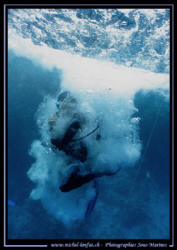 Let's start diving ... :O) ... by Michel Lonfat 